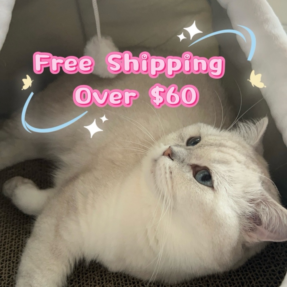 Cute Nail Teddy bear and Kitten - 1.5mm short nail - Picture 4 of 5